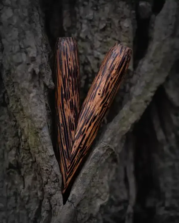 Kuripe aus Black Palmira 5