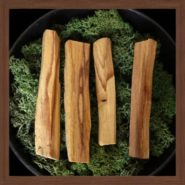 palo santo 2
