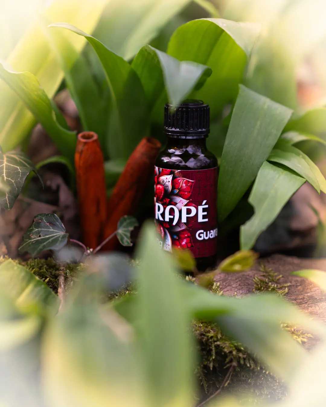 rapé guaratuaba stimmung